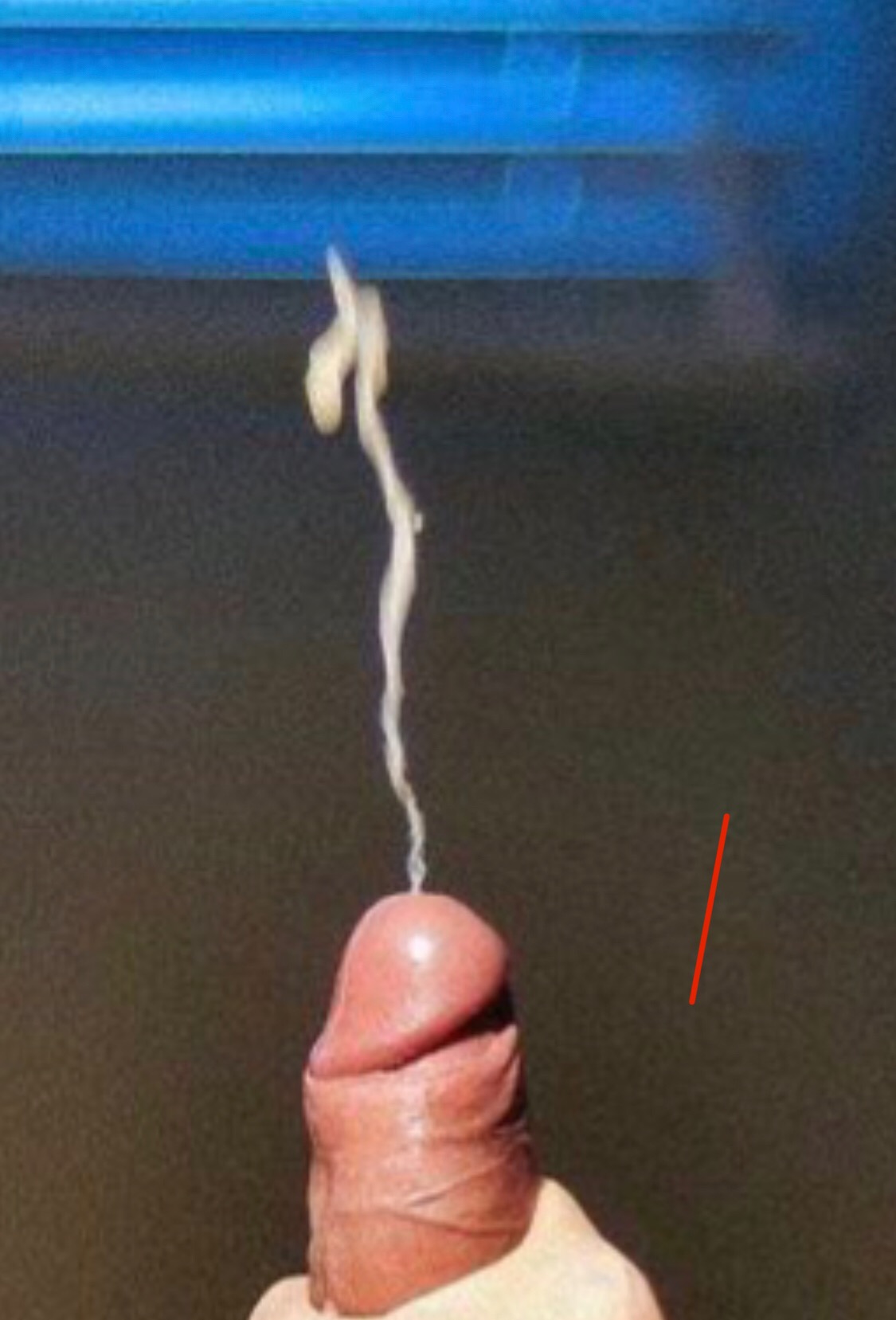 淫民日报1484期:黄瓜杂文之我们都是鸡巴人